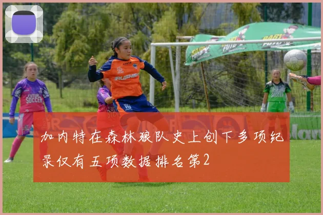 加内特在森林狼队史上创下多项纪录仅有五项数据排名第2