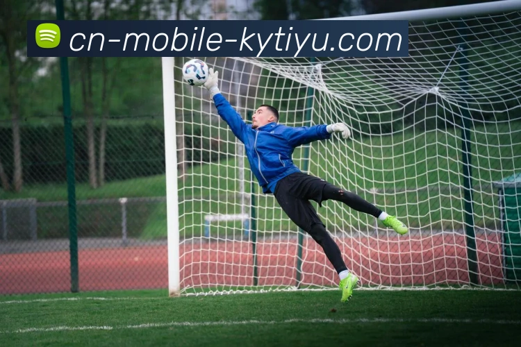 开云体育平台生态图