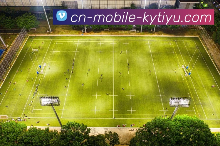 开云体育APP 封面图